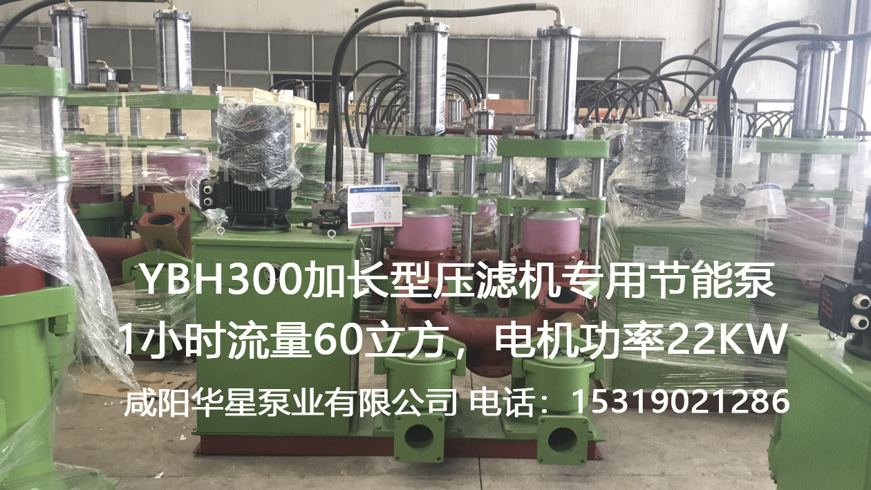 YBH300加長(zhǎng)型壓濾機(jī)專用節(jié)能泵