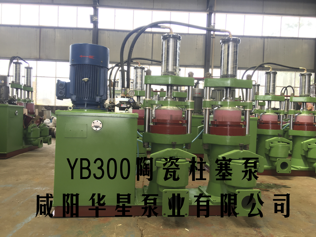 YB300-40壓濾機(jī)入料泵